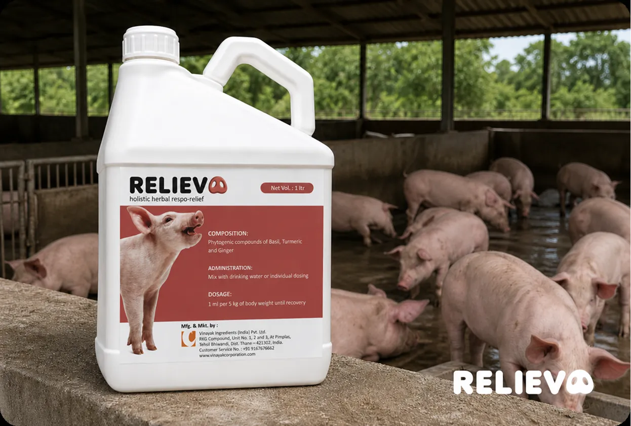 RELIEVO